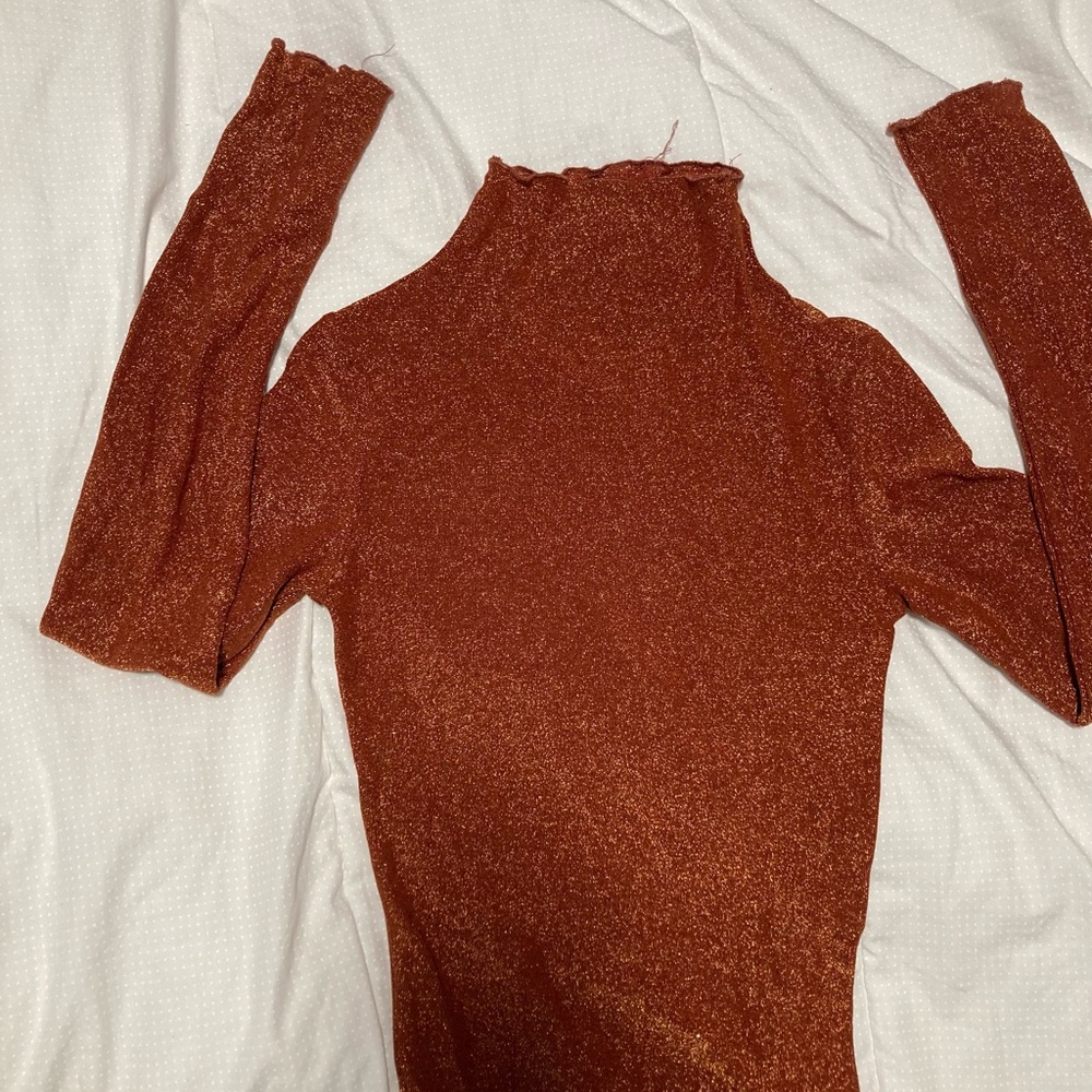 Rust Long Sleeve Turtleneck Top